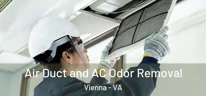 Air Duct and AC Odor Removal Vienna - VA