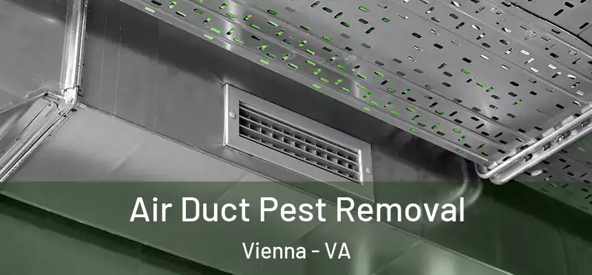 Air Duct Pest Removal Vienna - VA