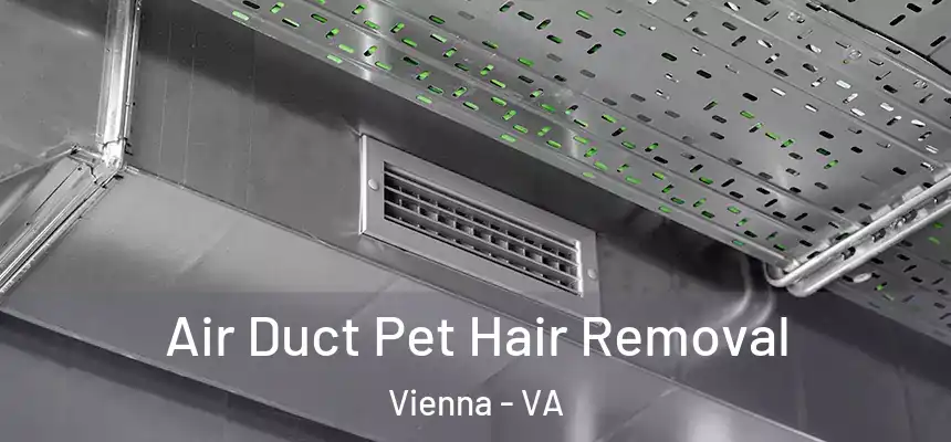  Air Duct Pet Hair Removal Vienna - VA