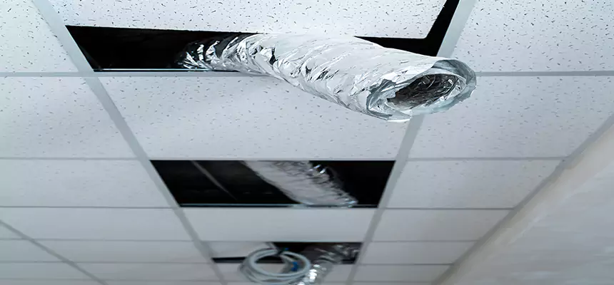 Our Air Duct Pet Hair Removal Services in Vienna, VA