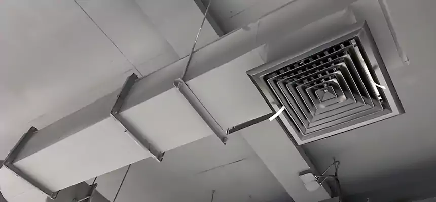 Our Pest Removal From Ducts Services in Vienna, VA