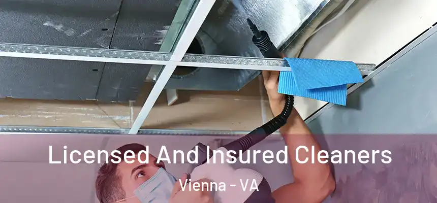Licensed And Insured Cleaners Vienna - VA