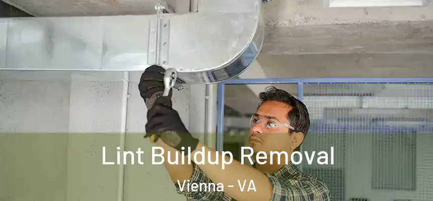 Lint Buildup Removal Vienna - VA