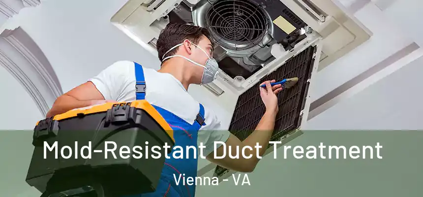  Mold-Resistant Duct Treatment Vienna - VA
