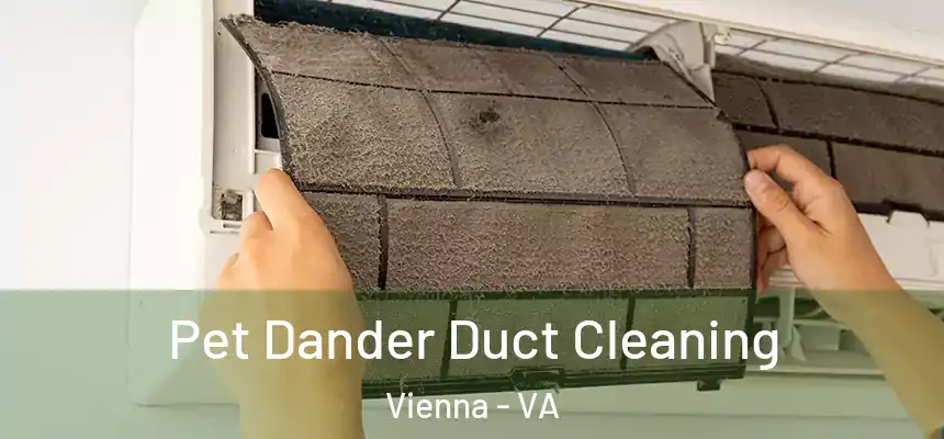  Pet Dander Duct Cleaning Vienna - VA