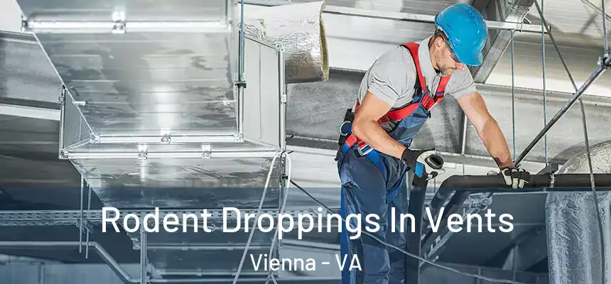  Rodent Droppings In Vents Vienna - VA