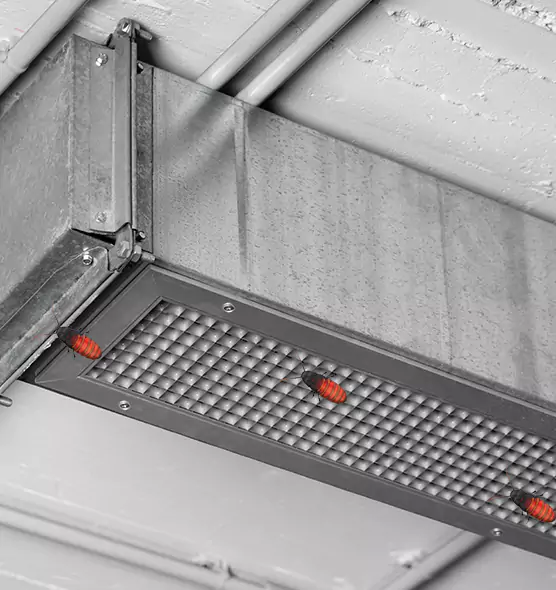 About Air Duct Cockroach Removal in Vienna, VA
