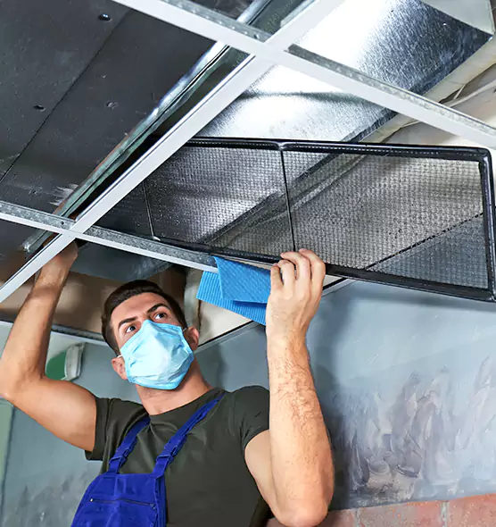 Professional Air Duct Pollen Cleaning in Vienna, VA