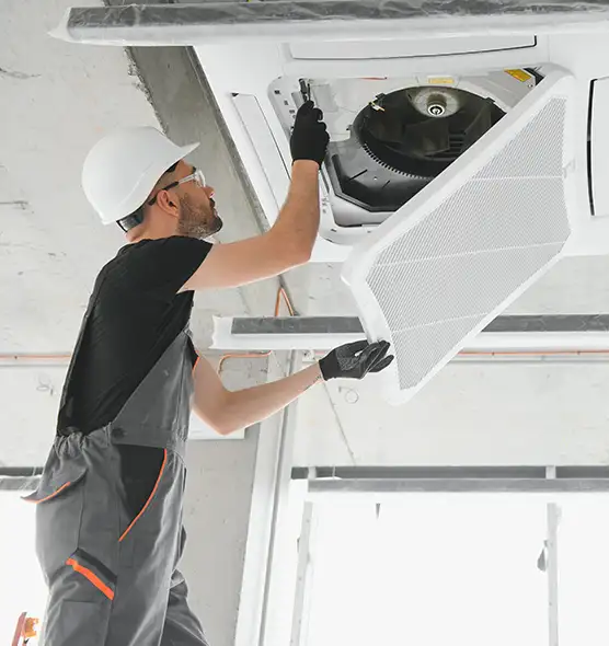 About Air Duct Rodent Removal in Vienna, VA