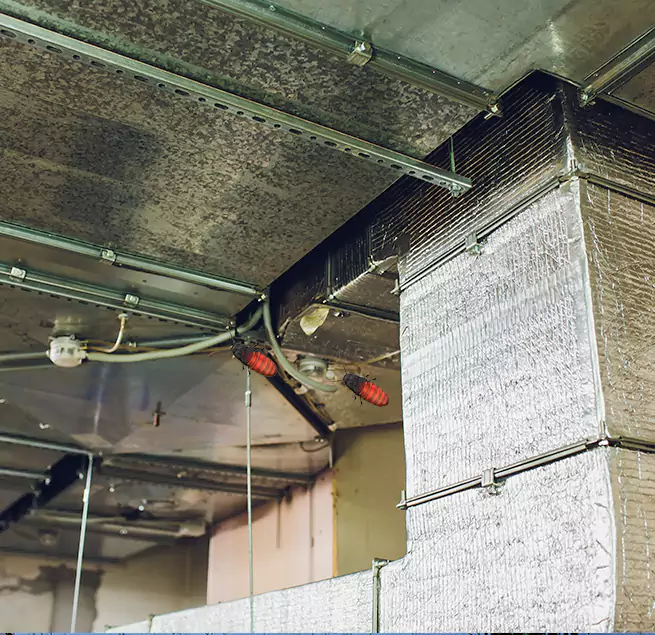 Why Homeowners & Businesses Trust Us in Vienna, VA?