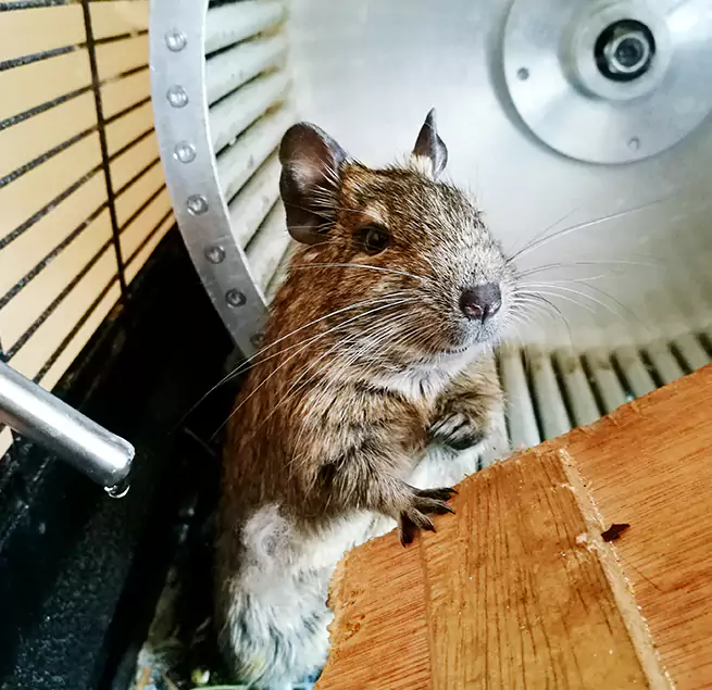 Why Homeowners & Businesses Trust Us Vienna, VA