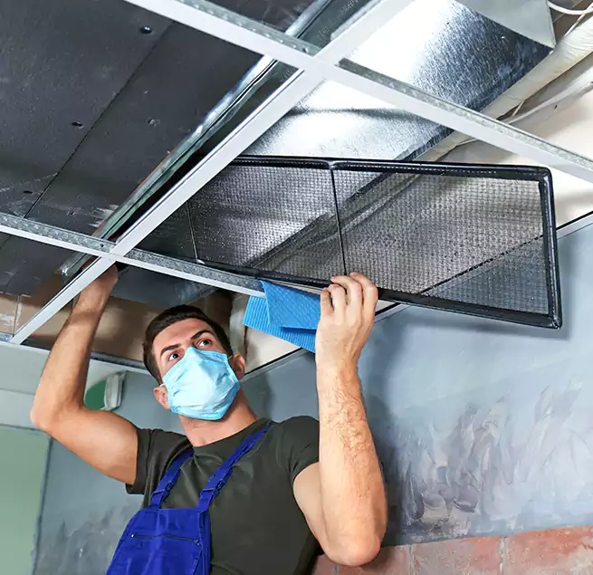 Why Homeowners Businesses Trust Us in Vienna, VA