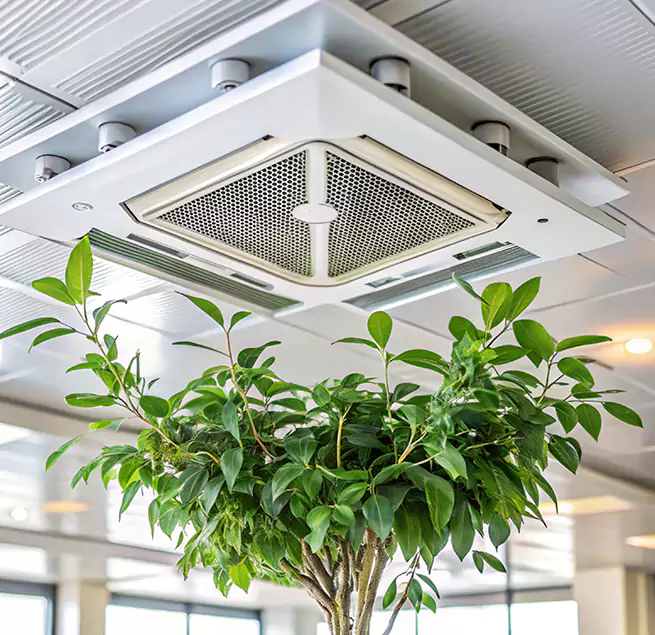 Why Homeowners & Businesses Trust Us in Vienna, VA