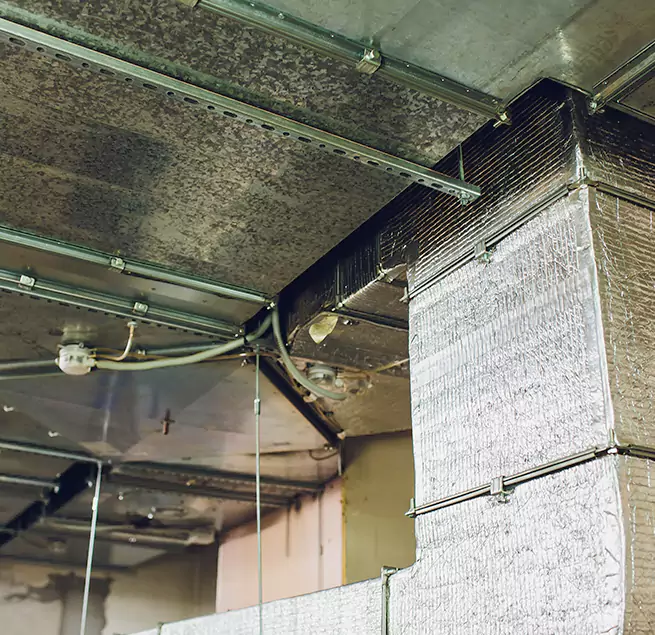 Why Homeowners & Businesses Trust Us in Vienna, VA?