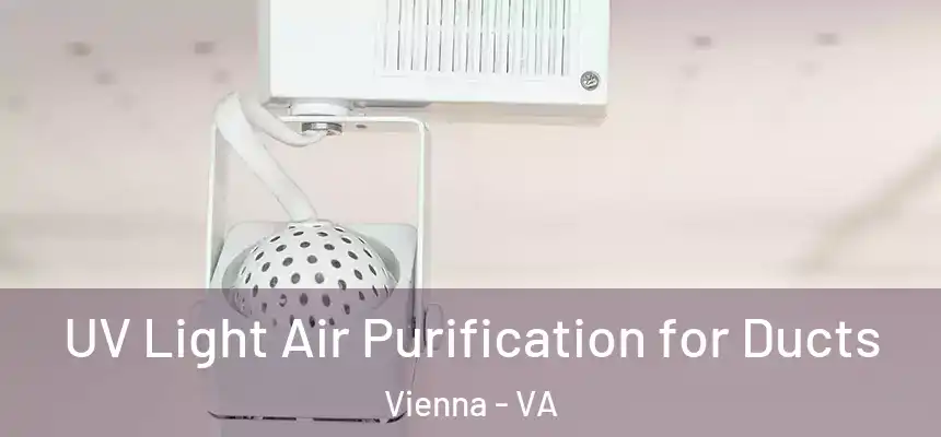  UV Light Air Purification for Ducts Vienna - VA